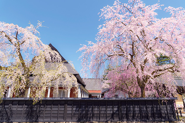 角館樺細工伝承館