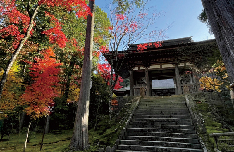西明寺