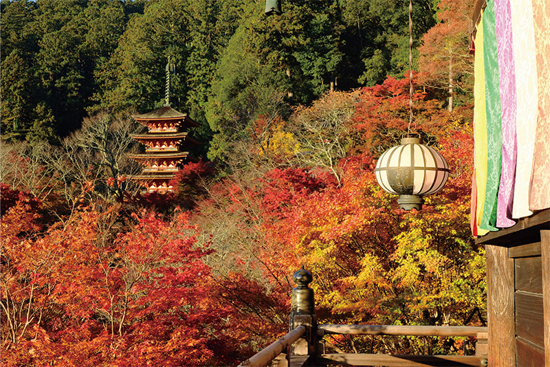 長谷寺