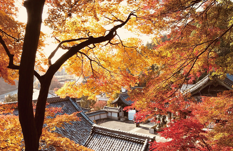 西山エリア
