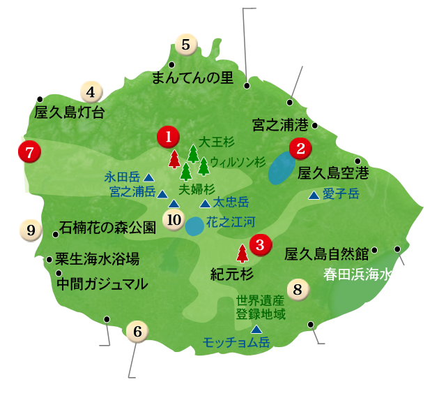 九州 沖縄発 屋久島ツアー 旅行特集 阪急交通社
