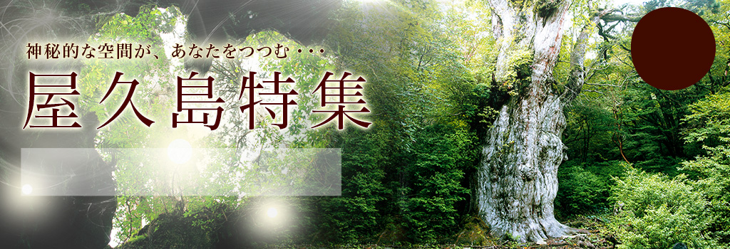 中国発  屋久島ツアー・旅行特集