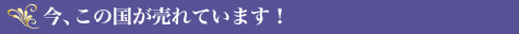 今、この国が売れています！