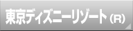 東京ディズニーリゾート（R）