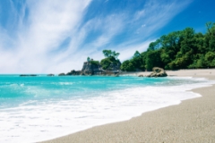 日帰り観光コース付き