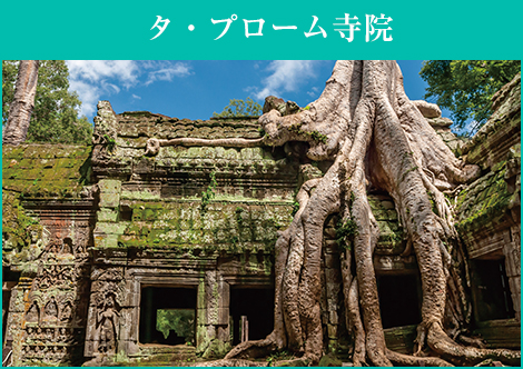 タ・プローム寺院