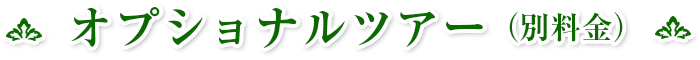 オプショナルツアー（別料金）