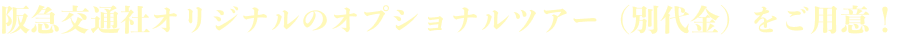 阪急交通社オリジナルのオプショナルツアー（別代金）をご用意！