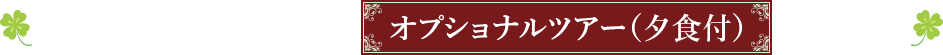 阪急交通社オリジナルのオプショナルツアー（夕食付）をご用意！