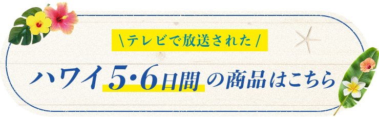 テレビで放送された！ ハワイ5・6日間の商品はこちら