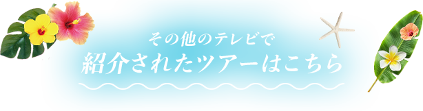 その他のテレビで紹介されたツアーはこちら