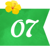 07