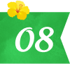 08