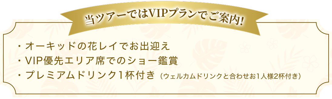 当ツアーではVIPプランでご案内！