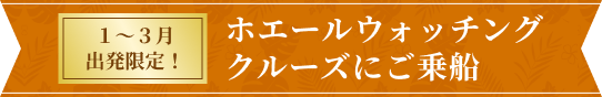 ホエールウォッチング・クルーズご乗船