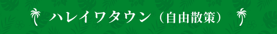 ハレイワタウン（自由散策）
