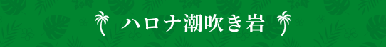 ハロナ潮吹き岩