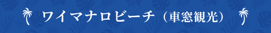 ワイマナロビーチ（車窓観光）