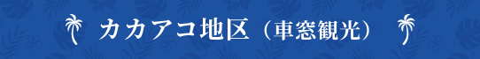 カカアコ地区（車窓観光）