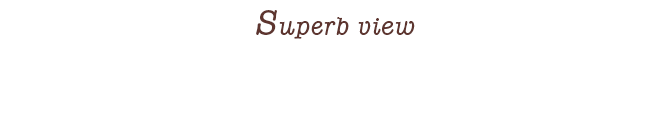 Superb view 秋に彩られた絶景や人気観光地をご案内