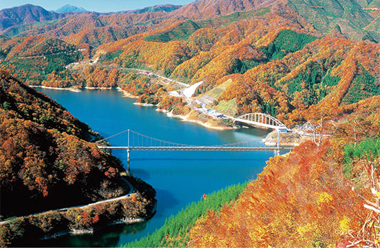 九頭竜湖の夢の架け橋