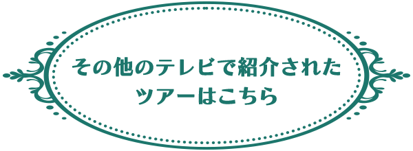 その他のテレビで紹介されたツアーはこちら
