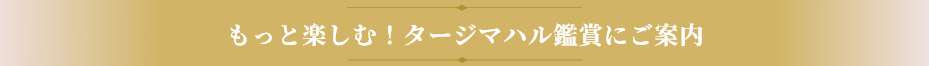 もっと楽しむ！タージマハル鑑賞にご案内