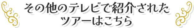 その他のテレビで紹介されたツアーはこちら