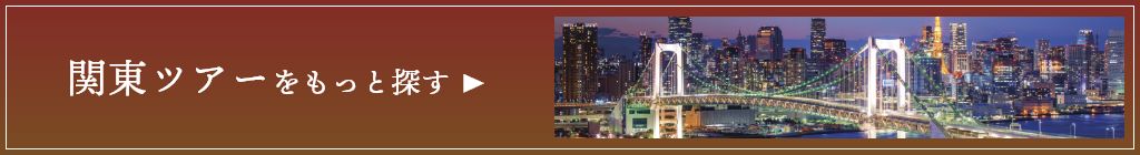 関東ツアーをもっと探す