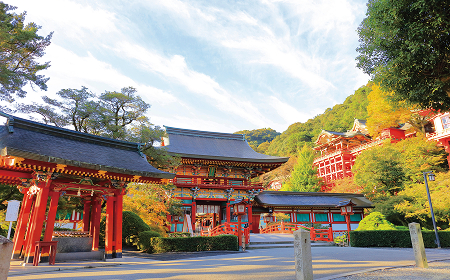 祐徳稲荷神社