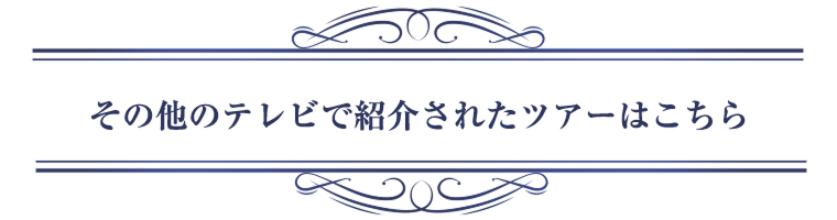 その他のテレビで紹介されたツアーはこちら