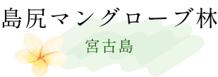 島尻マングローブ林 宮古島