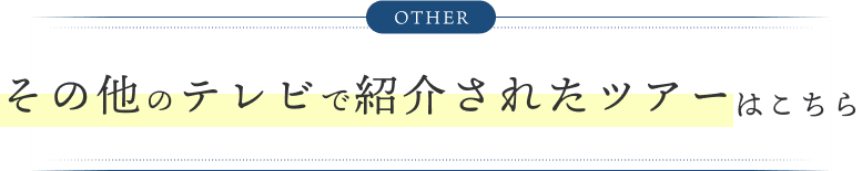 その他のテレビで紹介されたツアーはこちら