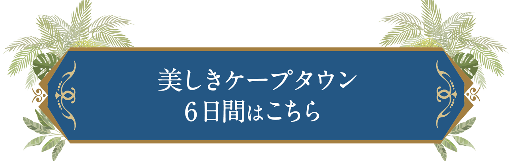 美しきケープタウン6日間はこちら
