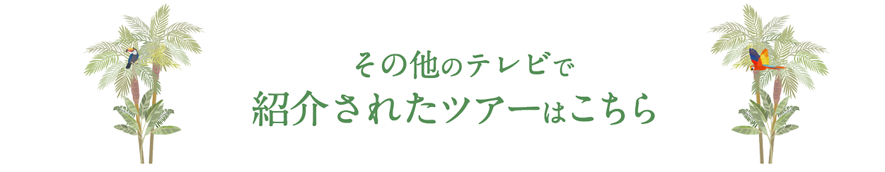その他のテレビで紹介されたツアーはこちら