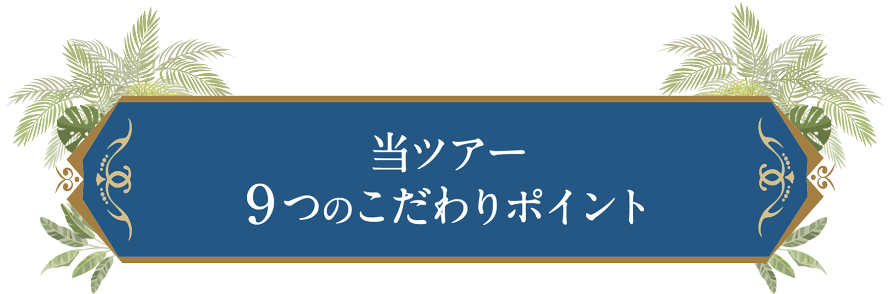 当ツアー9つのこだわりポイント