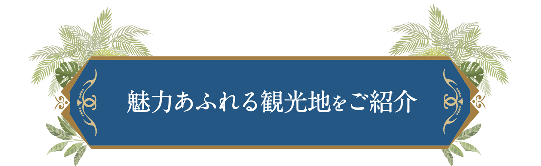 魅力あふれる観光地をご紹介