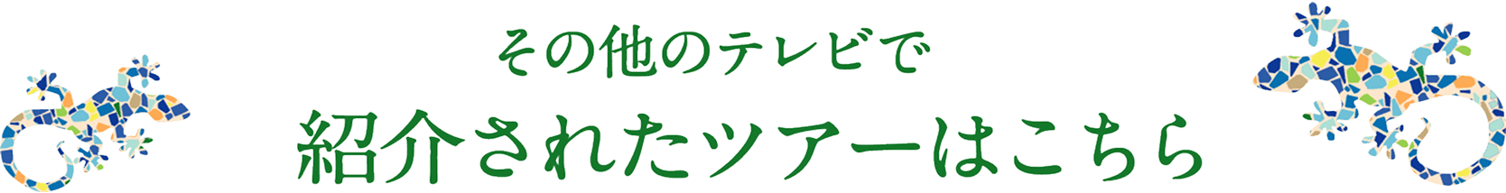 その他のテレビで紹介されたツアーはこちら