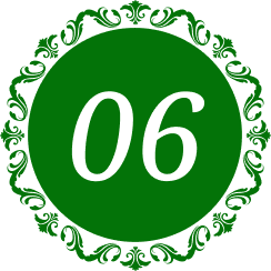06