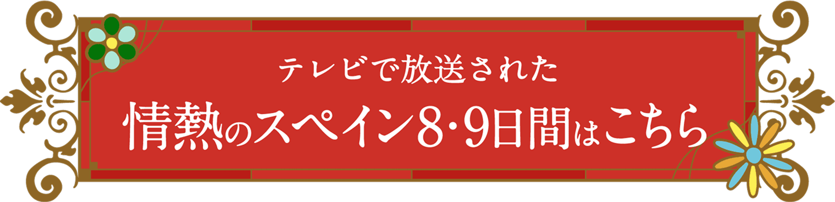 テレビで放送された情熱のスペイン8・9日間はこちら