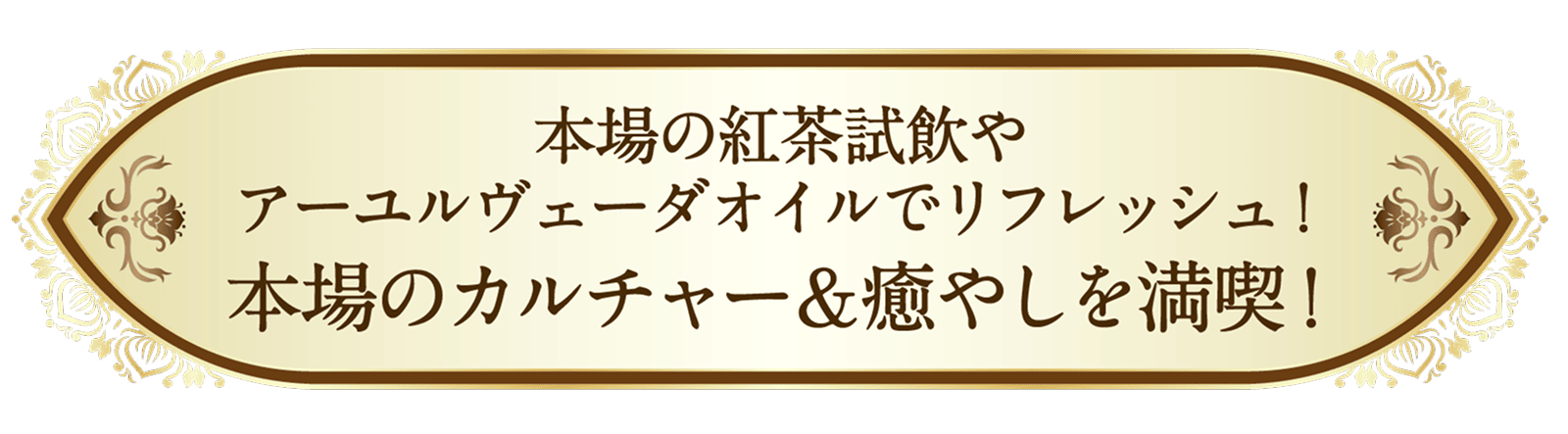 本場の紅茶試飲やアーユルヴェーダオイルでリフレッシュ!本場のカルチャー&癒しを満喫!