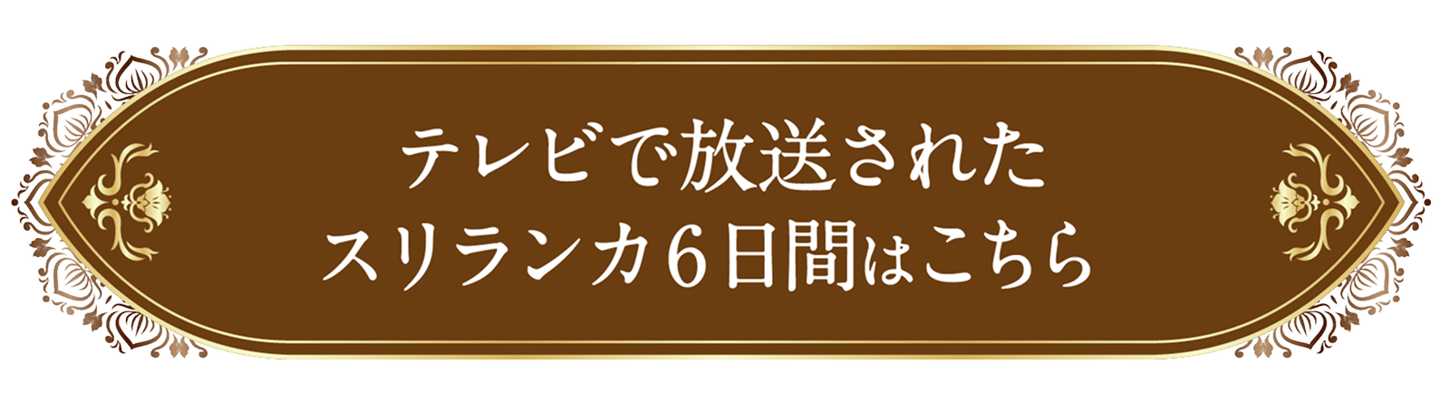 テレビで放送されたスリランカ6日間はこちら