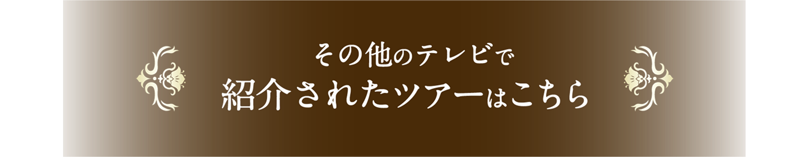 その他のテレビで紹介されたツアーはこちら
