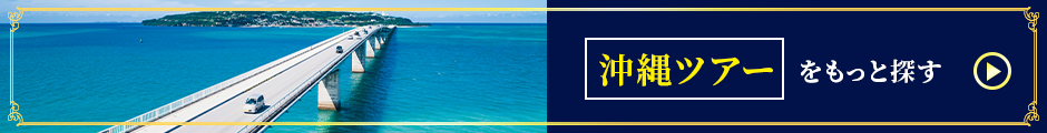 沖縄ツアーをもっと探す