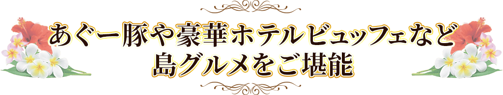 ブランド豚や島グルメをご堪能！