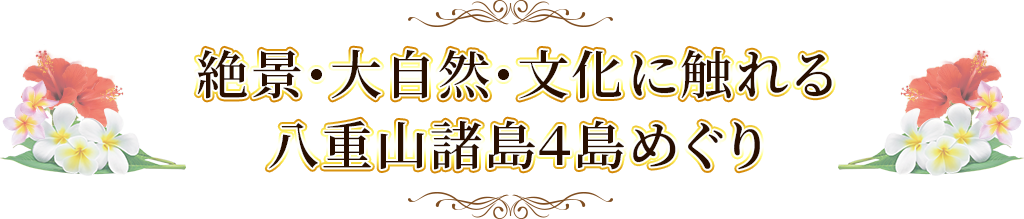絶景・大自然・文化に触れる八重山諸島４島めぐり