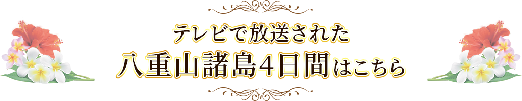 テレビで紹介された八重山諸島4日間はこちら