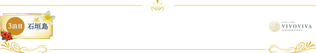 VIVOVIVA石垣島