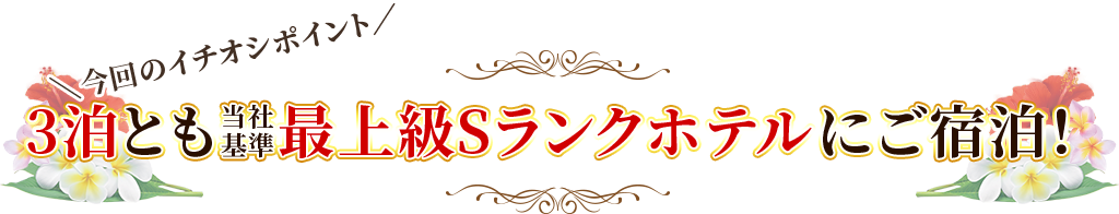 3泊とも最上級Sランクホテルにご宿泊！