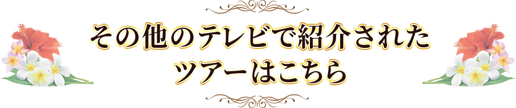 その他のテレビで紹介されたツアーはこちら